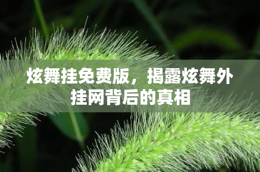 炫舞挂免费版,揭露炫舞外挂网背后的真相 炫舞挂免费版,揭露炫舞外挂网背后的真相