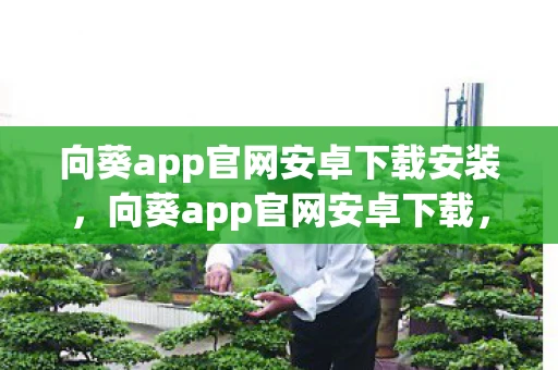 向葵app官网安卓下载安装，向葵app官网安卓下载，解锁高效办公新体验