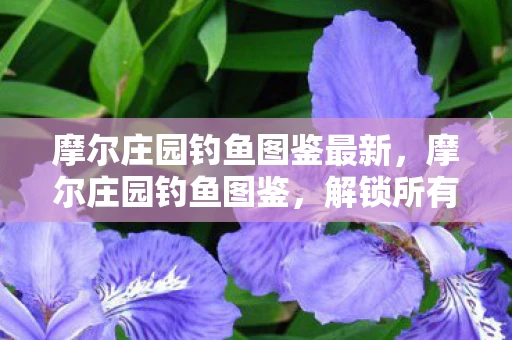 摩尔庄园钓鱼图鉴最新，摩尔庄园钓鱼图鉴，解锁所有鱼类与垂钓技巧