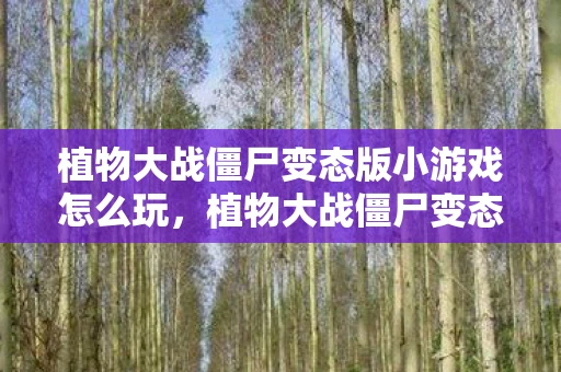 植物大战僵尸变态版小游戏怎么玩，植物大战僵尸变态版，挑战你的策略极限