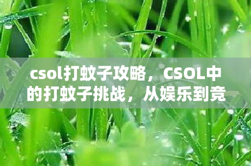 csol打蚊子攻略,CSOL中的打蚊子挑战,从娱乐到竞技的奇妙转变 csol打蚊子攻略,CSOL中的打蚊子挑战,从娱乐到竞技的奇妙转变