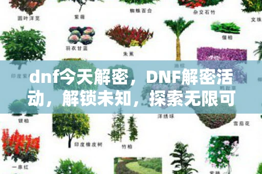 dnf今天解密，DNF解密活动，解锁未知，探索无限可能