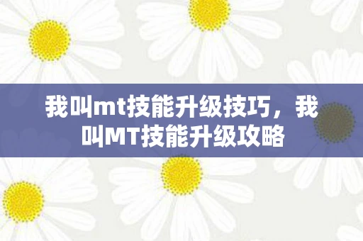 我叫mt技能升级技巧，我叫MT技能升级攻略