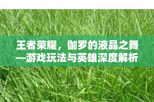 游戏玩法与英雄深度解析图片