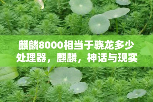 麒麟8000相当于骁龙多少处理器,麒麟,神话与现实交织的神秘生物 麒麟8000相当于骁龙多少处理器,麒麟,神话与现实交织的神秘生物