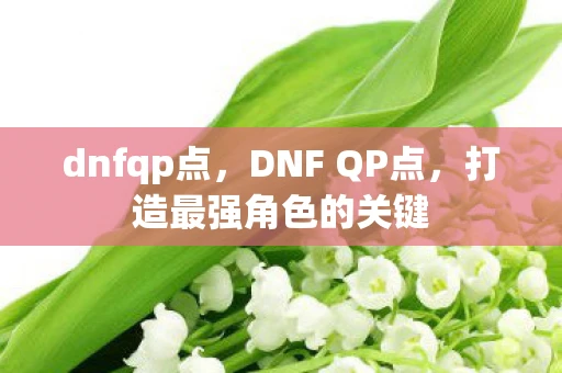 dnfqp点，DNF QP点，打造最强角色的关键