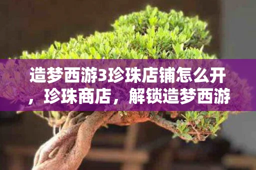 造梦西游3珍珠店铺怎么开，珍珠商店，解锁造梦西游3隐藏宝藏的秘籍