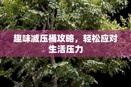 趣味减压桶攻略,轻松应对生活压力 趣味减压桶攻略,轻松应对生活压力