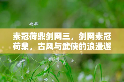 素冠荷鼎剑网三,剑网素冠荷鼎,古风与武侠的浪漫邂逅 素冠荷鼎剑网三,剑网素冠荷鼎,古风与武侠的浪漫邂逅