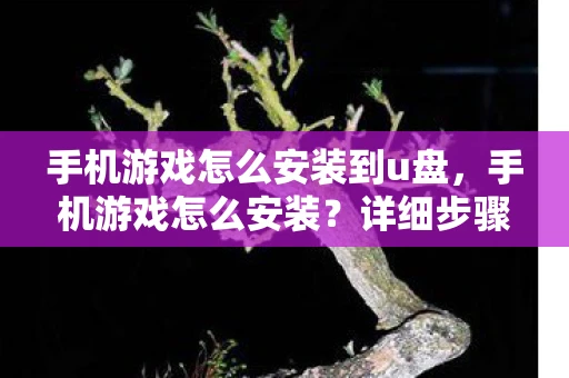 手机游戏怎么安装到u盘，手机游戏怎么安装？详细步骤与注意事项