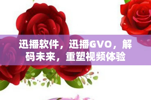 迅播软件,迅播GVO,解码未来,重塑视频体验 迅播软件,迅播GVO,解码未来,重塑视频体验