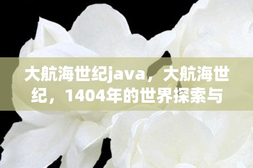 大航海世纪java,大航海世纪,1404年的世界探索与变革 大航海世纪java,大航海世纪,1404年的世界探索与变革