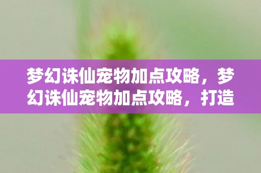 梦幻诛仙宠物加点攻略，梦幻诛仙宠物加点攻略，打造最强战斗伙伴