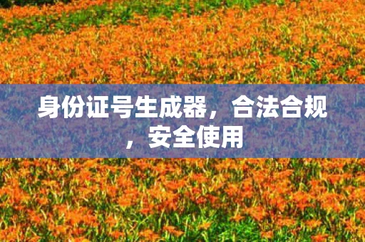 身份证号生成器，合法合规，安全使用