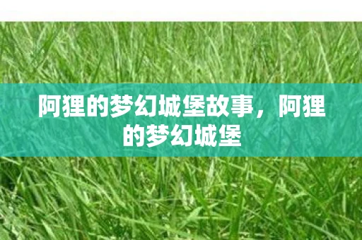 阿狸的梦幻城堡故事，阿狸的梦幻城堡