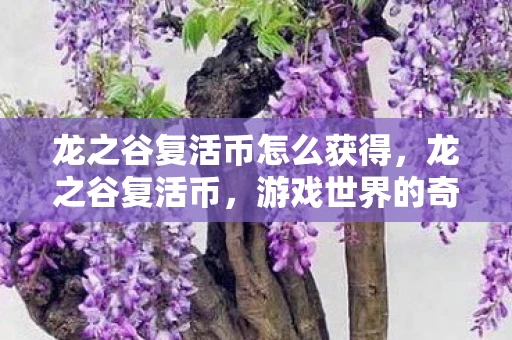 龙之谷复活币怎么获得，龙之谷复活币，游戏世界的奇迹与传承