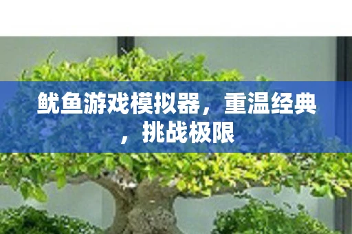 鱿鱼游戏模拟器，重温经典，挑战极限