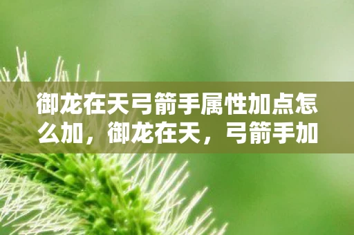 御龙在天弓箭手属性加点怎么加，御龙在天，弓箭手加点攻略