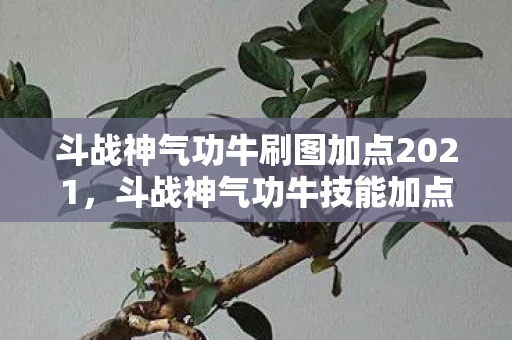 斗战神气功牛刷图加点2021，斗战神气功牛技能加点详解