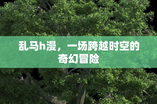 乱马h漫,一场跨越时空的奇幻冒险 乱马h漫,一场跨越时空的奇幻冒险