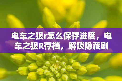 电车之狼r怎么保存进度，电车之狼R存档，解锁隐藏剧情与角色互动的秘密