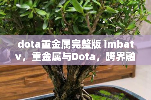 dota重金属完整版 imbatv，重金属与Dota，跨界融合的音乐与电竞文化