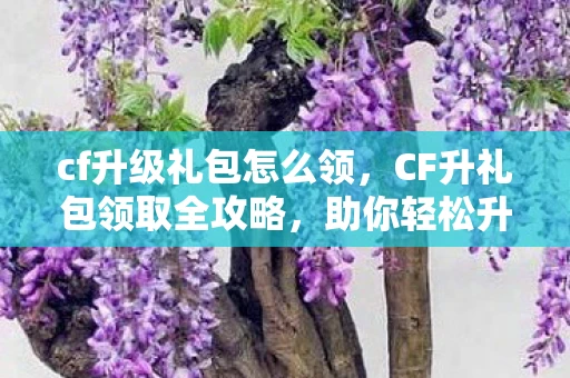 cf升级礼包怎么领，CF升礼包领取全攻略，助你轻松升级，赢取丰厚奖励！