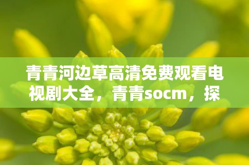 青青河边草高清免费观看电视剧大全，青青socm，探索数字时代的社交新生态