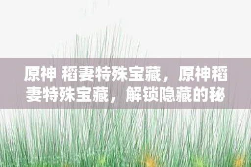 原神 稻妻特殊宝藏，原神稻妻特殊宝藏，解锁隐藏的秘密与奖励