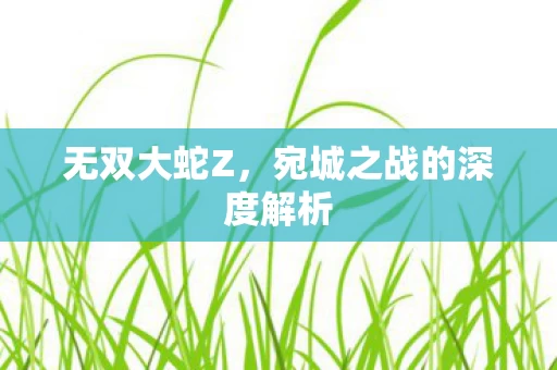 宛城之战的深度解析图片