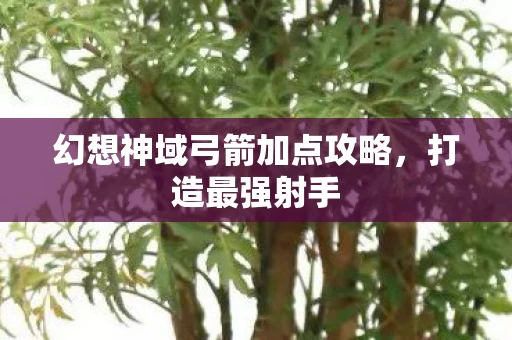 幻想神域弓箭加点攻略,打造最强射手 幻想神域弓箭加点攻略,打造最强射手