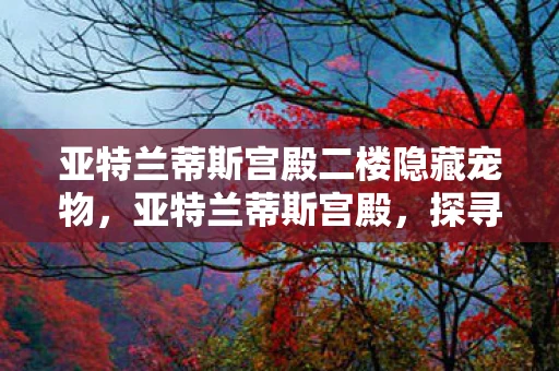 亚特兰蒂斯宫殿二楼隐藏宠物,亚特兰蒂斯宫殿,探寻传说中的神秘王国 亚特兰蒂斯宫殿二楼隐藏宠物,亚特兰蒂斯宫殿,探寻传说中的神秘王国