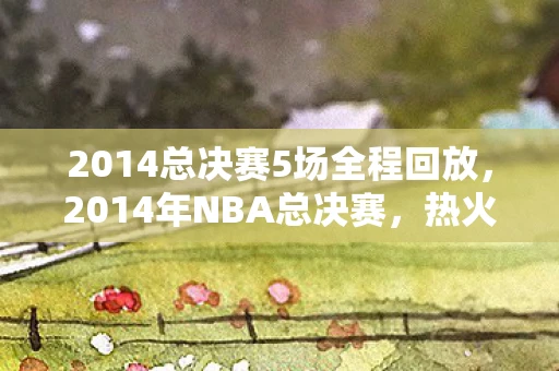 2014总决赛5场全程回放，2014年NBA总决赛，热火三巨头VS马刺GDP，一场经典对决的回顾