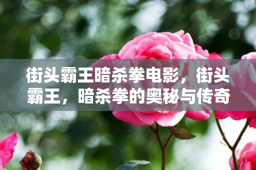 街头霸王暗杀拳电影,街头霸王,暗杀拳的奥秘与传奇 街头霸王暗杀拳电影,街头霸王,暗杀拳的奥秘与传奇