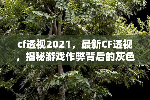 cf透视2021,最新CF透视,揭秘游戏作弊背后的灰色产业链 cf透视2021,最新CF透视,揭秘游戏作弊背后的灰色产业链