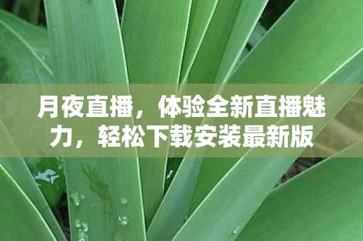 轻松下载安装最新版图片