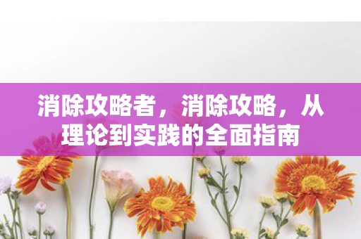 消除攻略者，消除攻略，从理论到实践的全面指南