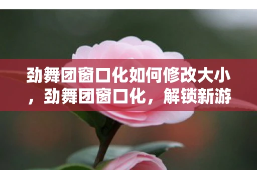 劲舞团窗口化如何修改大小,劲舞团窗口化,解锁新游戏体验 劲舞团窗口化如何修改大小,劲舞团窗口化,解锁新游戏体验