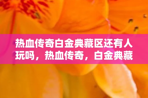 热血传奇白金典藏区还有人玩吗,热血传奇,白金典藏,传奇永不落幕 热血传奇白金典藏区还有人玩吗,热血传奇,白金典藏,传奇永不落幕