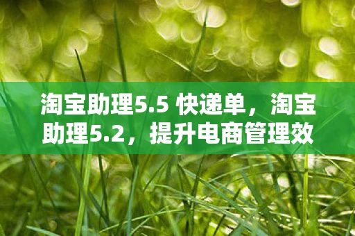 淘宝助理5.5 快递单,淘宝助理5.2,提升电商管理效率的神器 淘宝助理5.5 快递单,淘宝助理5.2,提升电商管理效率的神器