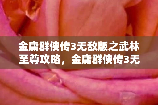 金庸群侠传3无敌版之武林至尊攻略，金庸群侠传3无敌版之武林至尊