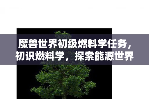 魔兽世界初级燃料学任务，初识燃料学，探索能源世界的奥秘