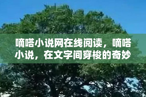 嘀嗒小说网在线阅读，嘀嗒小说，在文字间穿梭的奇妙旅程