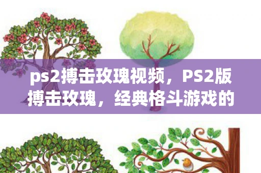 ps2搏击玫瑰视频，PS2版搏击玫瑰，经典格斗游戏的魅力与回忆