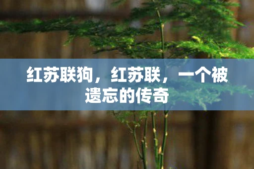 红苏联狗，红苏联，一个被遗忘的传奇