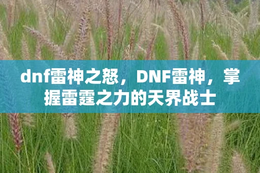 dnf雷神之怒,DNF雷神,掌握雷霆之力的天界战士 dnf雷神之怒,DNF雷神,掌握雷霆之力的天界战士