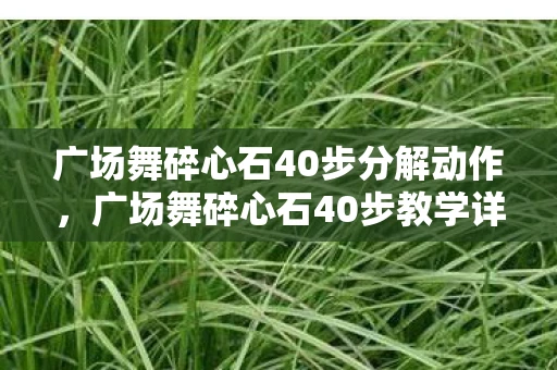 广场舞碎心石40步分解动作，广场舞碎心石40步教学详解