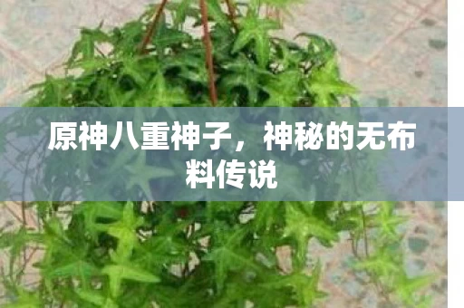 神秘的无布料传说图片