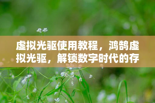 虚拟光驱使用教程,鸿鹄虚拟光驱,解锁数字时代的存储新境界 虚拟光驱使用教程,鸿鹄虚拟光驱,解锁数字时代的存储新境界