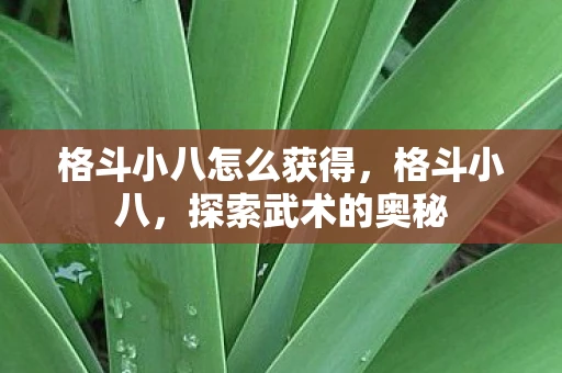 格斗小八怎么获得，格斗小八，探索武术的奥秘
